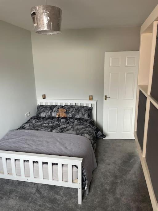Fantastic Full 3 Bedroom Modern